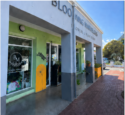 To Let Commercial Property for Rent in Elim Western Cape